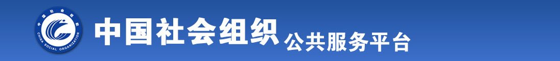 骚逼XXX全国社会组织信息查询